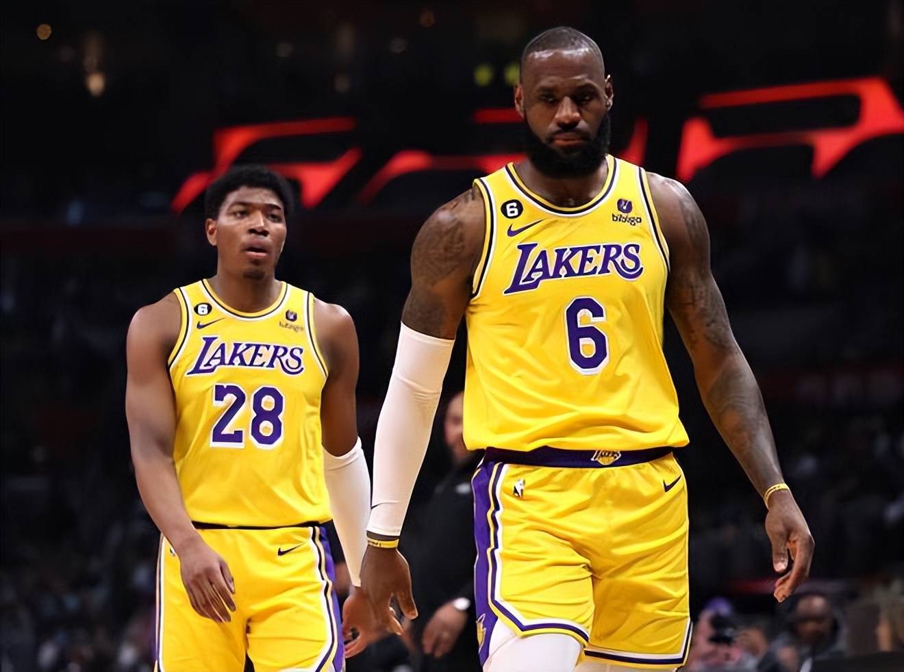 在荷甲生态 在荷甲生态