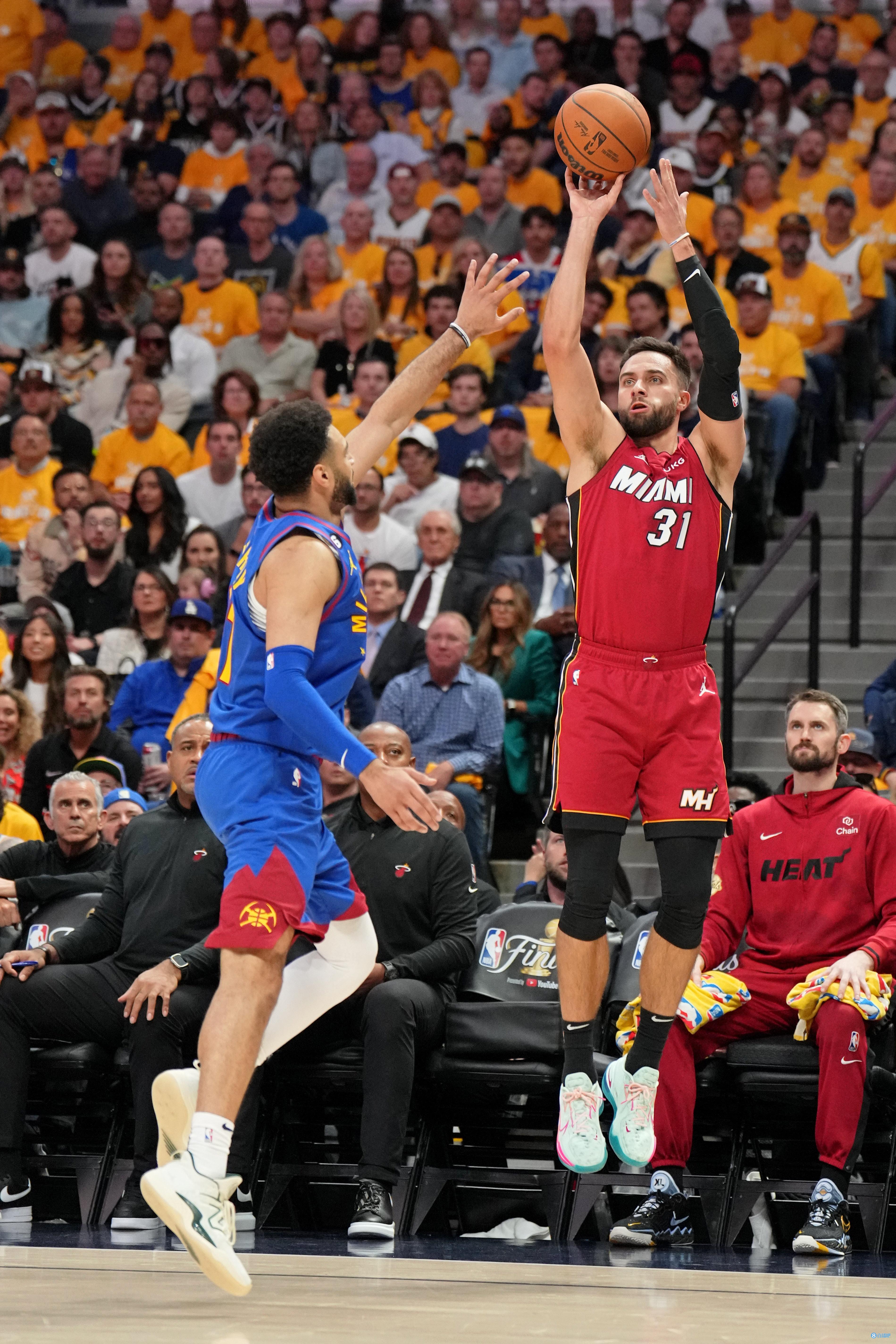 为了掩护同伴撤退，公牛独自留下应对狮群，英雄无处不在！